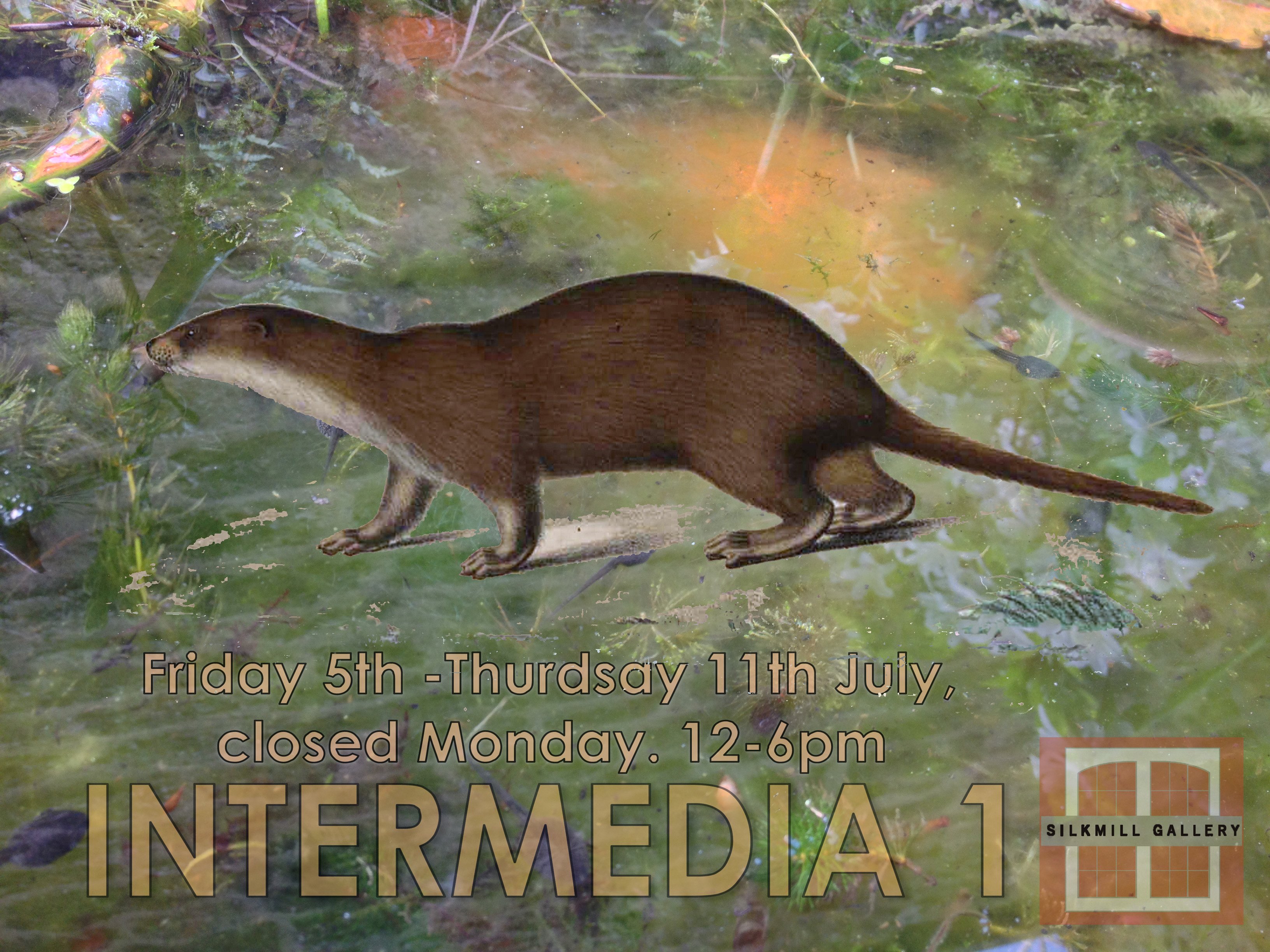 Intermedia 1jpg